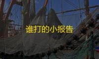谁打的小报告